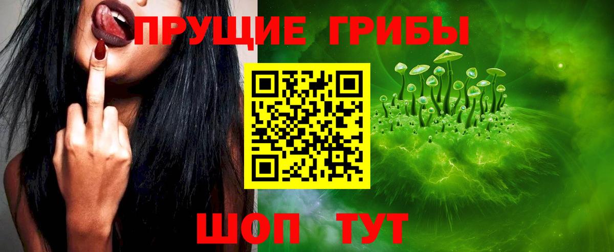 Галлюциногенные грибы Magic Shrooms  Вход с VPN  Шадринск  Галлюциногенные грибы Psilocybine cubensis 